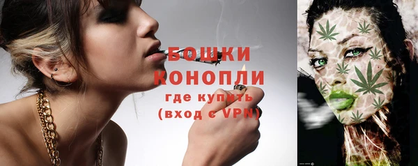 PSILOCYBIN Баксан