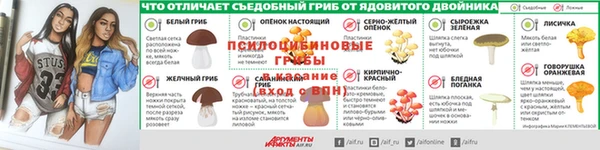 ГАЛЛЮЦИНОГЕННЫЕ ГРИБЫ Балахна