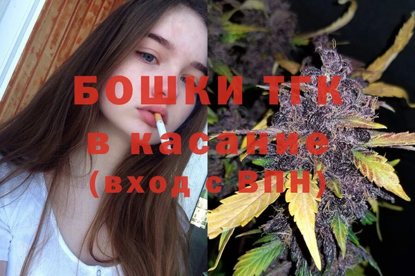 PSILOCYBIN Баксан