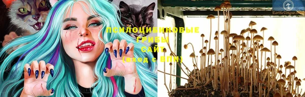 прущие крисы Балабаново