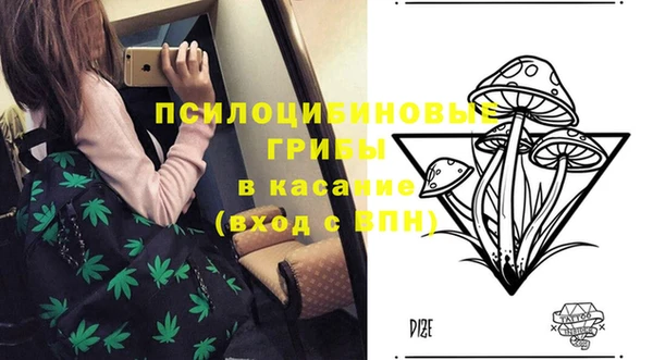 ГАЛЛЮЦИНОГЕННЫЕ ГРИБЫ Балахна